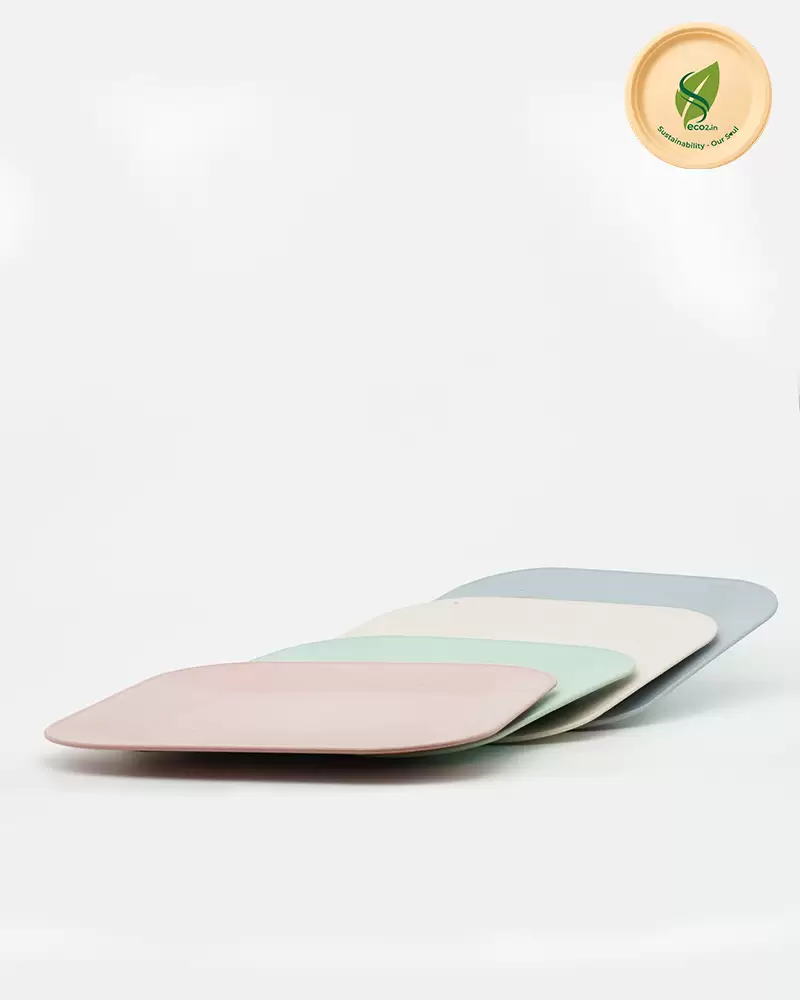 Eco Square Meal Plate Big image